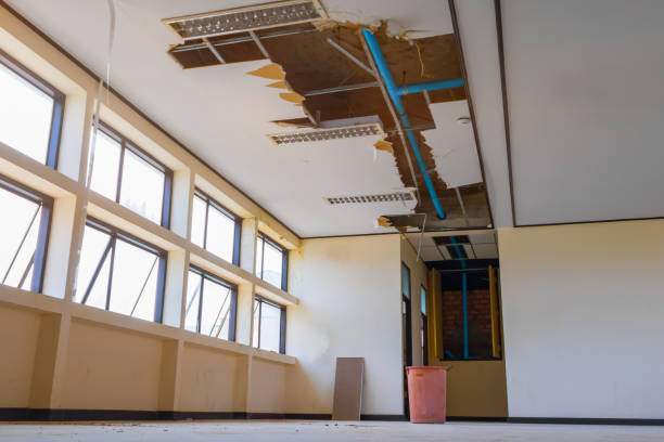 Best Water damage cleanup near me  in Westminster, CA