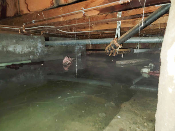 Best Water damage contractors near me  in Westminster, CA