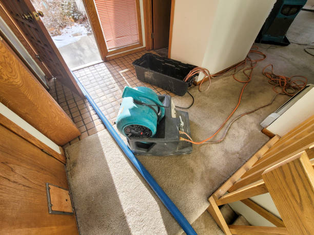 Best Flood damage cleanup  in Westminster, CA
