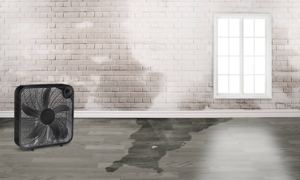 Best Flood restoration services  in Westminster, CA